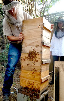 Natural Beekeeping Students Visit Belinda's Urban Apiary