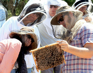 Natural Beekeeping Australia Students Milkwood Apiary