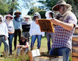 Natural Beekeeping Australia Students