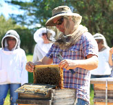 Natural Beekeeping Australia Courses