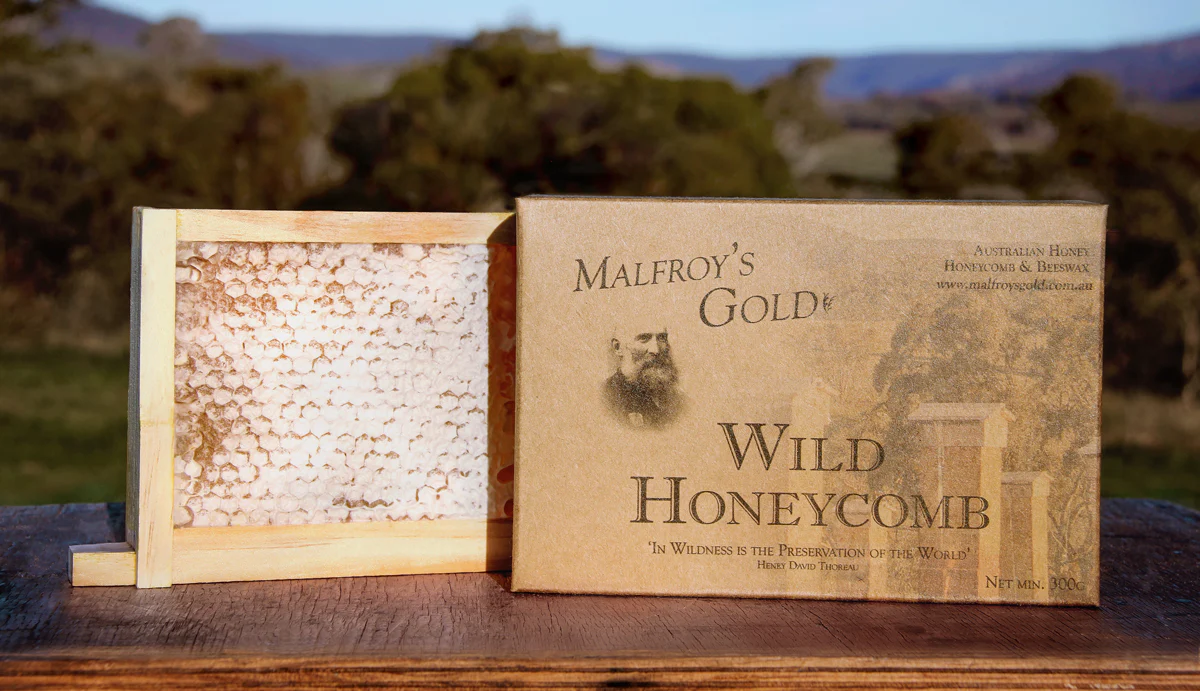 Malfroy's Gold Wild Honeycomb 300g Section Red Stringy