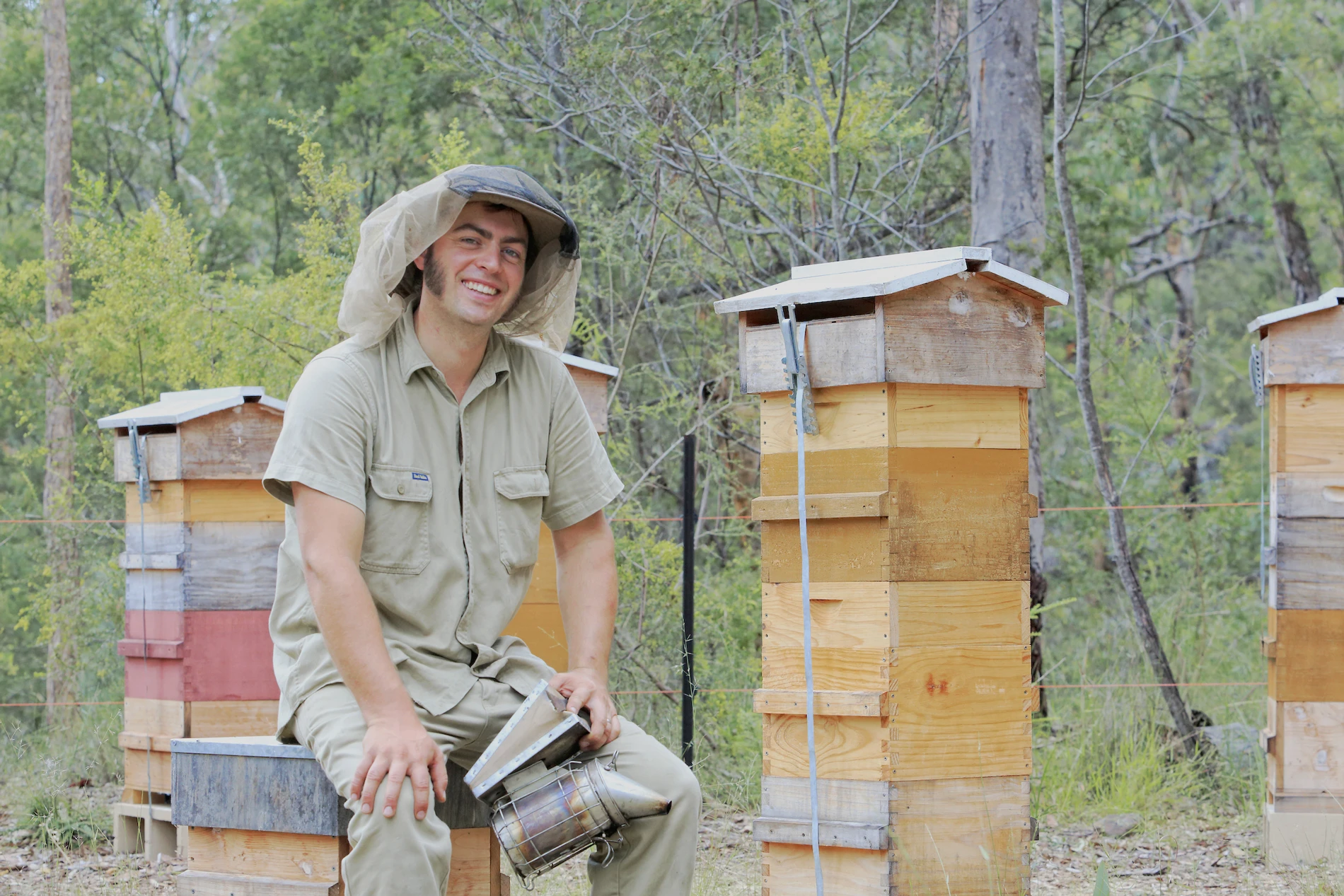 Tim Malfroy and his Warré Hives in the Blue Mountains photo © eric Tourneret