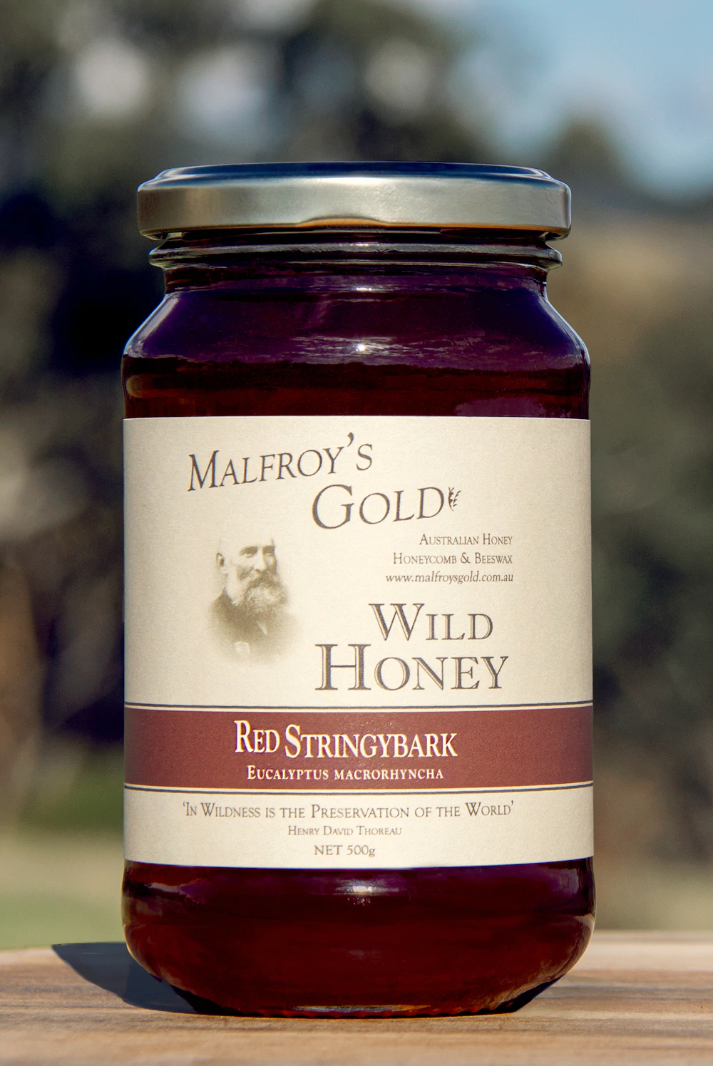 Malfroy's Gold Red Stringybark 500g