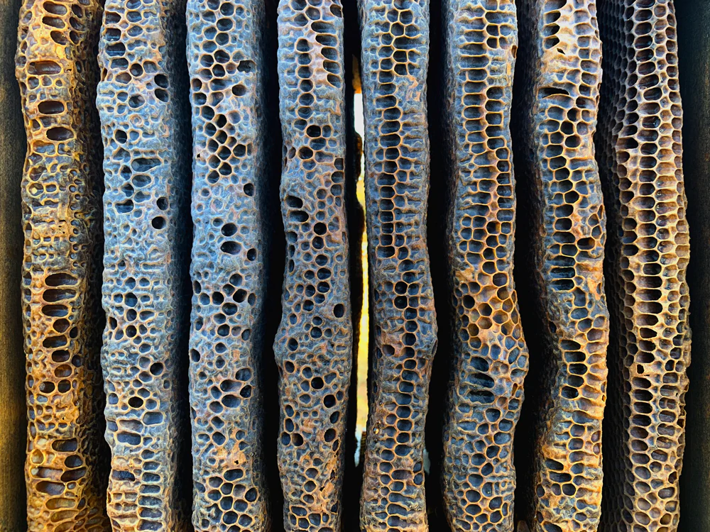 Malfroy's Gold, Dark, Aged Wild Honeycomb