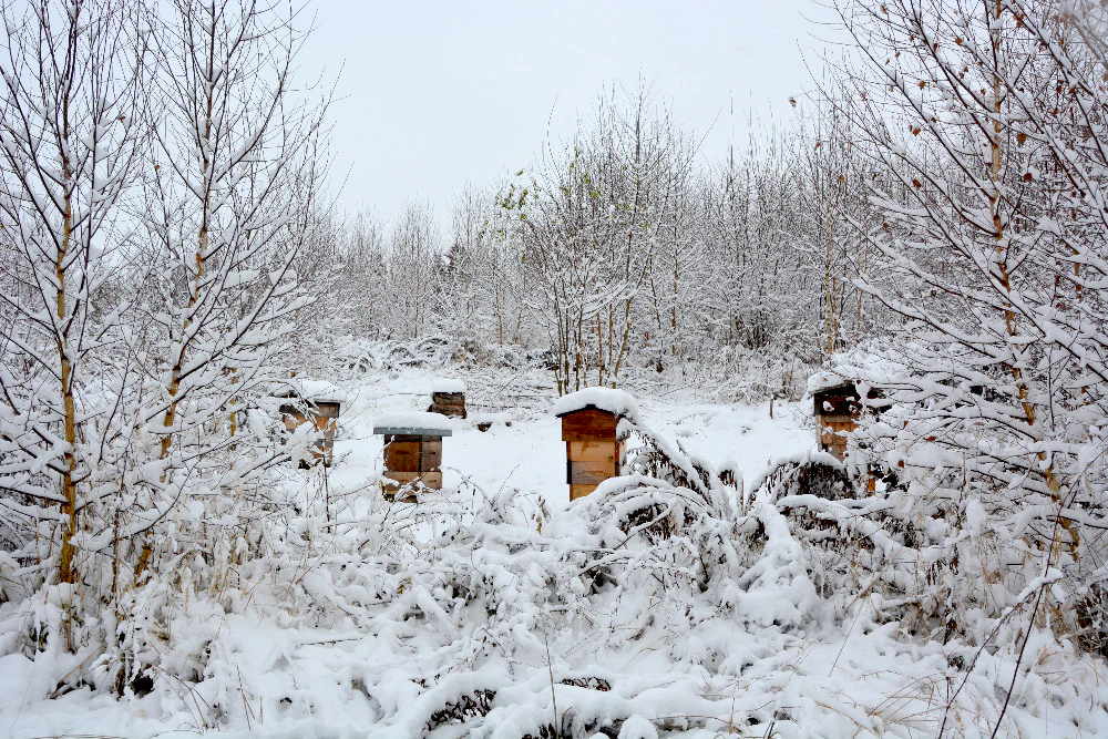 Warré Apiary in Easter Europe in Winter