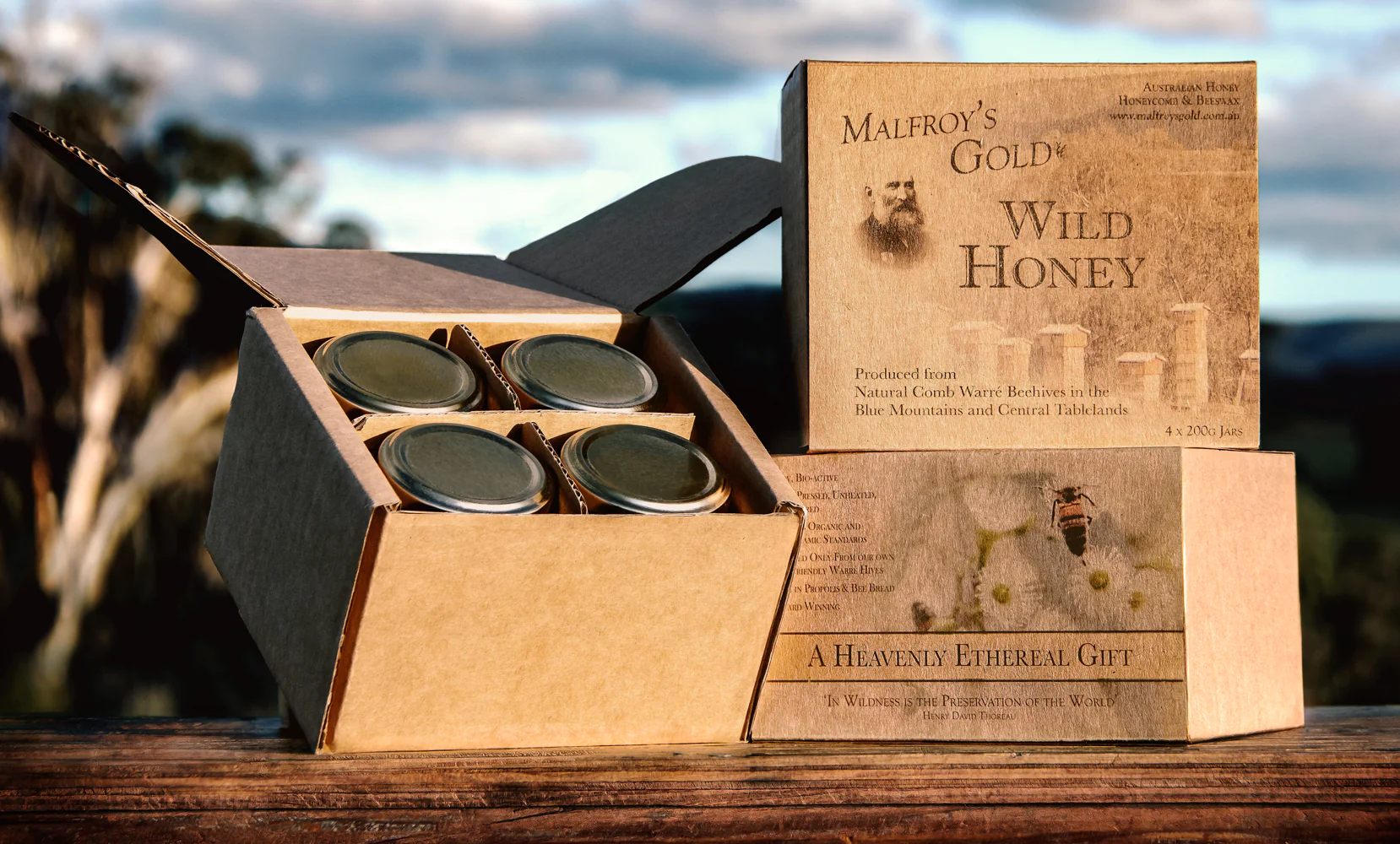 Malfroy's Gold Wild Honey 4 x 200g Gift Packs