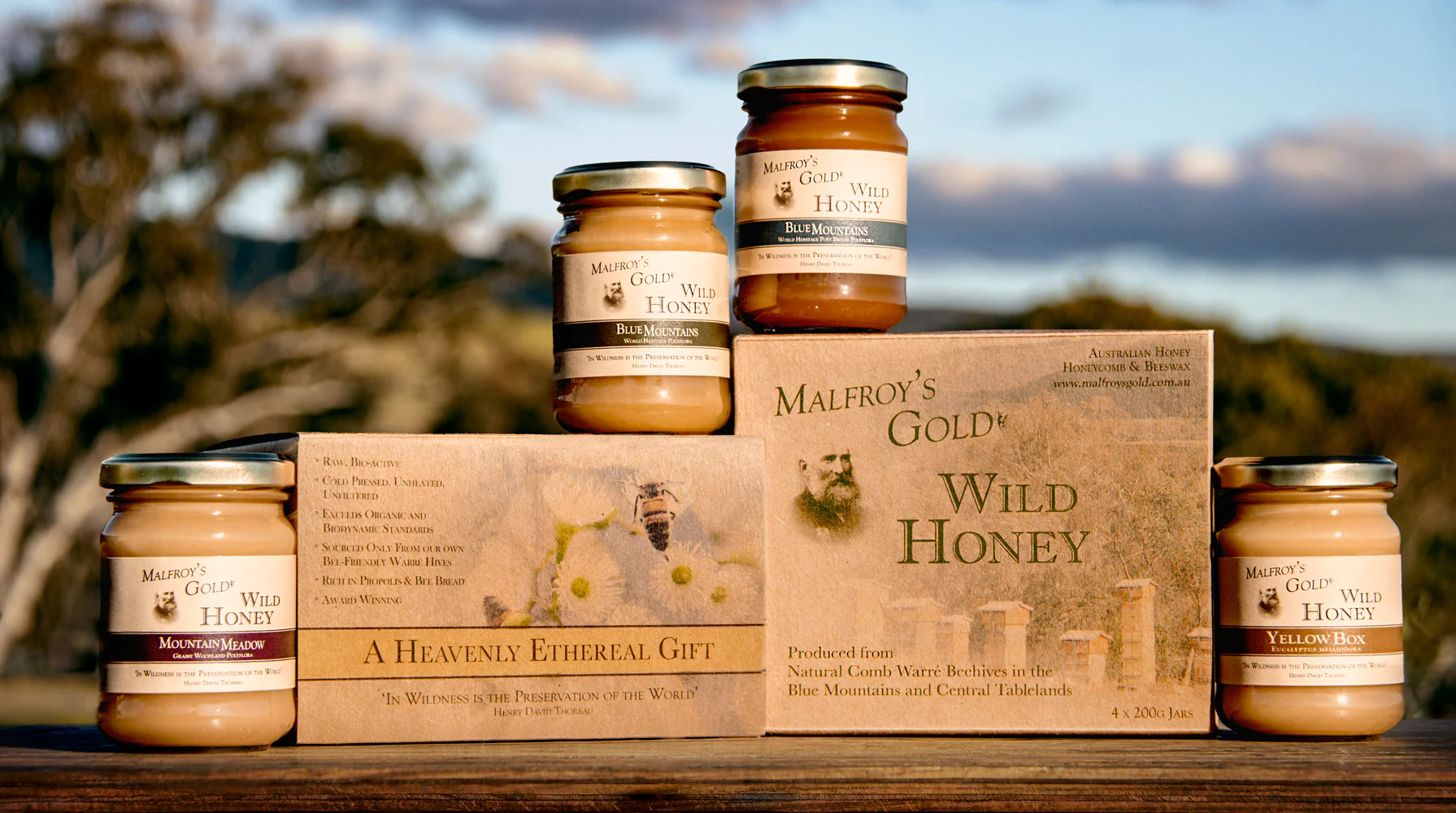 Malfroy's Gold Wild Honey 4 x 200g Gift Pack Mixed Regions