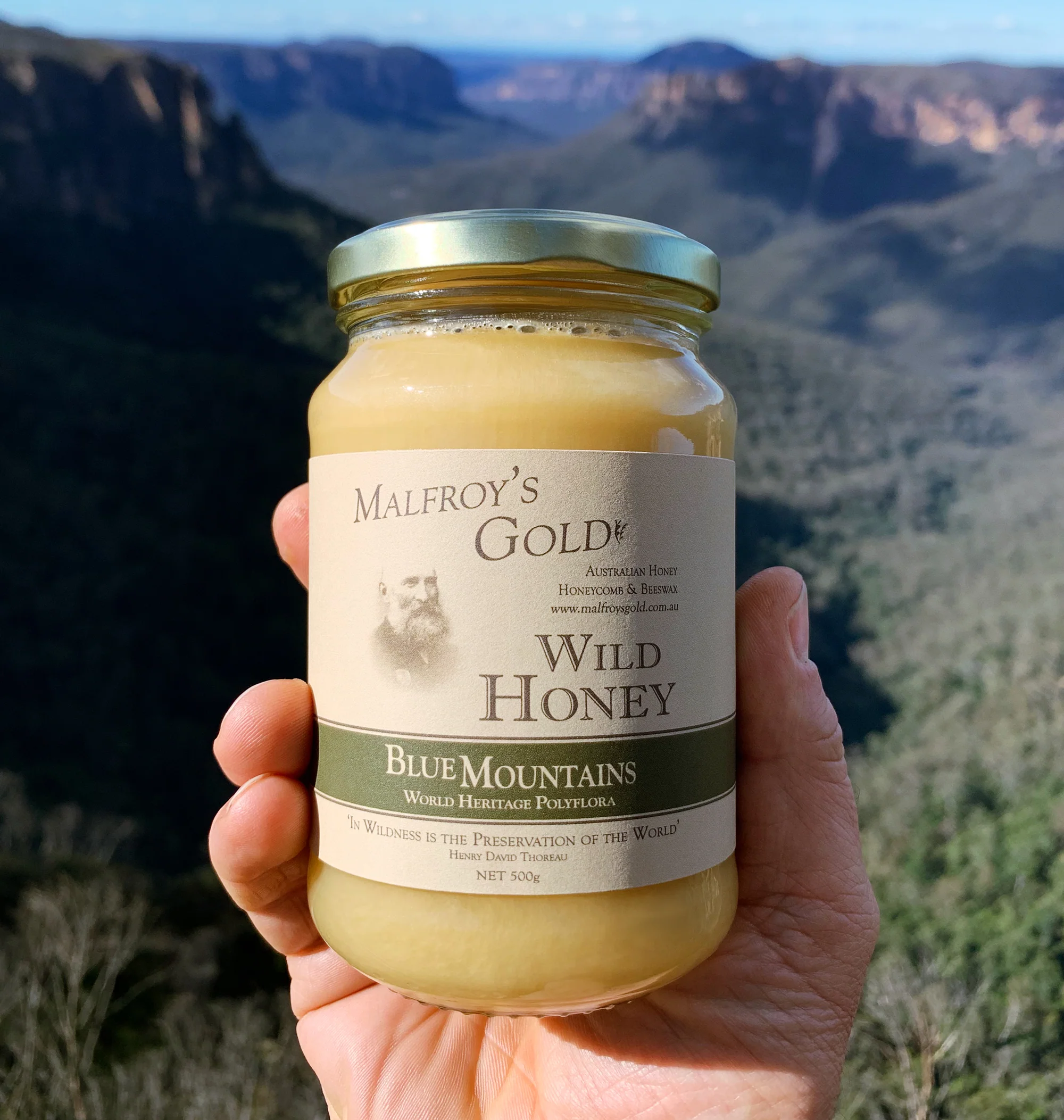 Malfroy's Gold Chemical Free Blue Mountains Polyflora Wild Honey