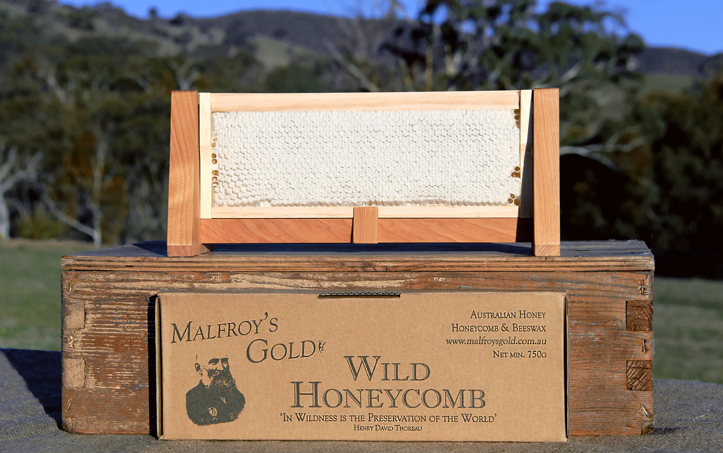 Malfroy's Gold 750g Wild Honeycomb sections