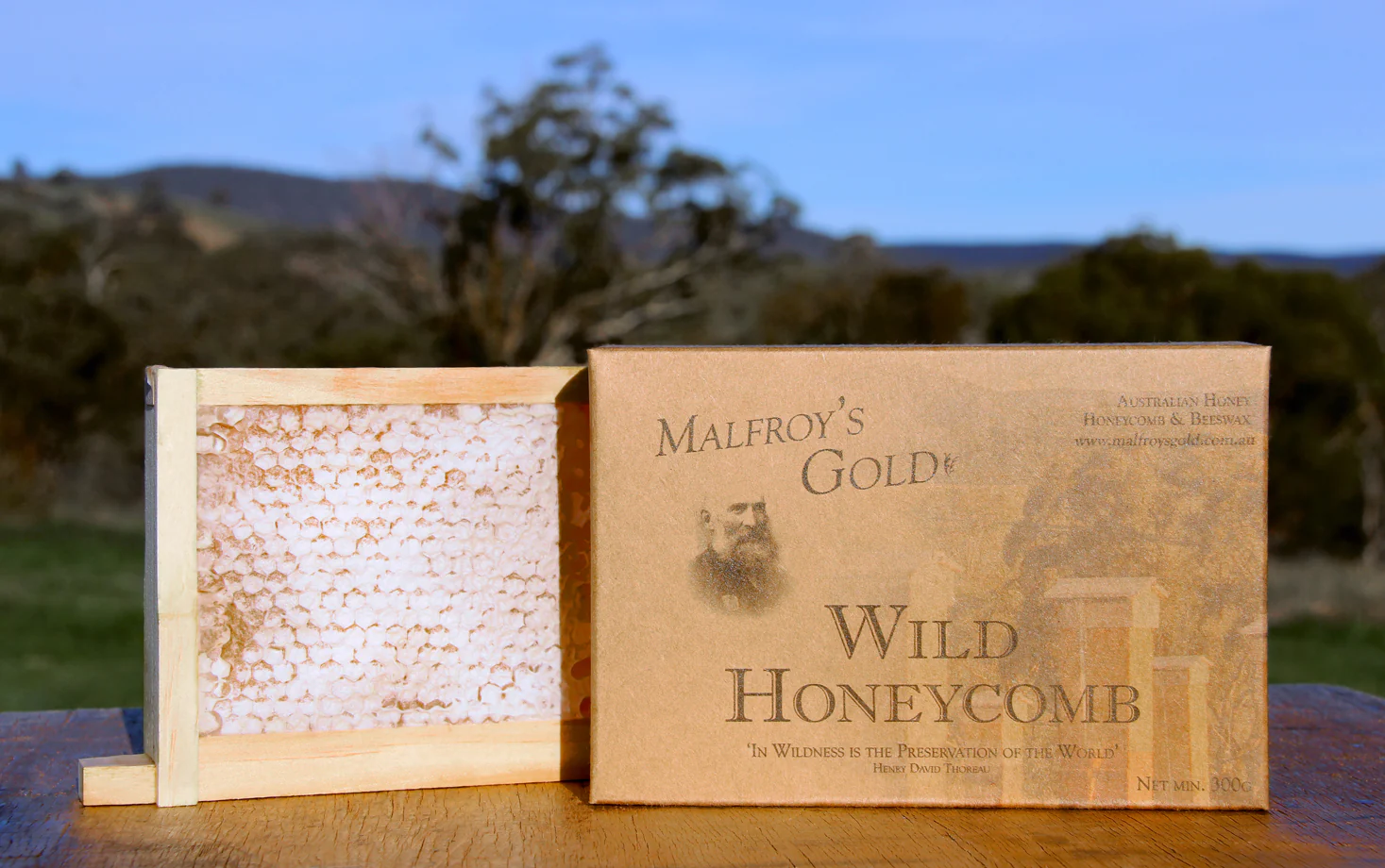Malfroy's Gold Wild Honeycomb Section 300g