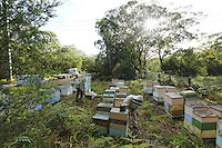 Terry Brown, 61 years old, started keeping bees at the age of sixteen as a hobby. Today, he owns more than 2,500 hives and focusses on the production of honey with nearly 200 tons produced each year.///Terry Brown, 61 ans a commencé à l’âge de seize ans l’apiculture comme un passe-temps. Il possède aujourd’hui plus de 2 500 ruches et se concentre sur la production de miel avec près de 200 tonnes produites chaque année.