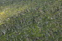 Two hours from Sydney, in the Blue Mountains culminating at 1111 meters altitude, eucalyptus forests cover the mountain slopes. The Australian mountain range stretches over 3,500 km in the east of the country. This rocky barrier harnesses the coastal rains of the Pacific Ocean. It is the source of water and thus the richness of the east coast of Australia.///Dans les montagnes bleues qui culminent à 1111 mètres d’altitude, à deux heures de Sydney, les forêts d’eucalyptus recouvrent les pentes des montagnes. La cordillère australienne s’étend sur 3 500 km à l’Est du pays. Cette barrière rocheuse capte les précipitations côtières de l’océan Pacifique. Elle est la source d’alimentation en eau, donc de richesse de la côte Est du pays.