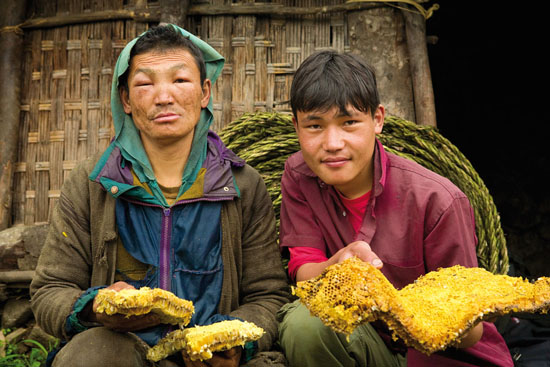 NÉPAL – District de Solukhumbu – Vallée de Bung