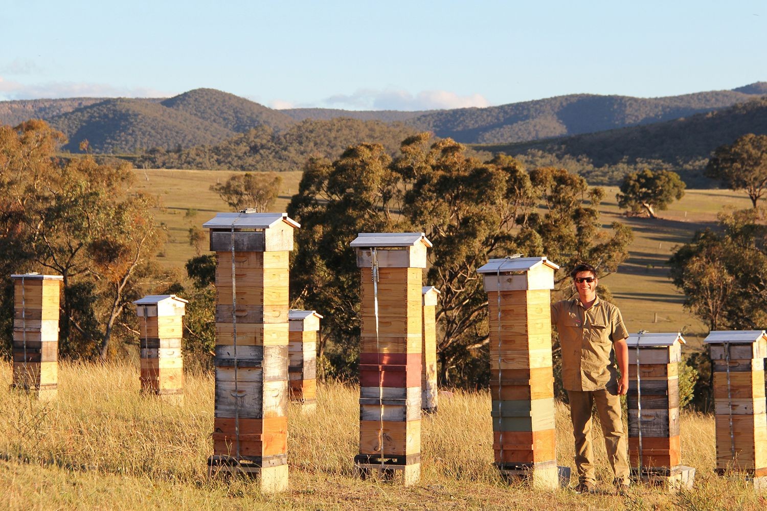 Tim Malfroy with his Warre hives.
