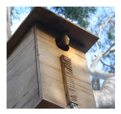 bee box.png