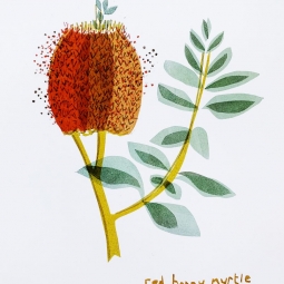 Honey Myrtle artwork