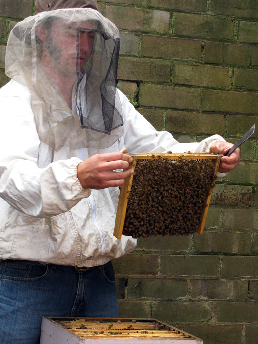 beekeeping-course04