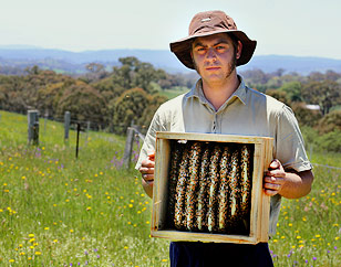 Natural Beekeeping Australia Tim with Warré Box