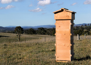 Full Australian Malfroy's Warré Hive