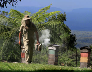 Natural Beekeeping Australia Beekeeping Rescources