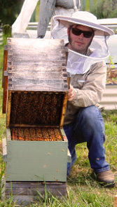 Tim Malfroy with Australian Warré Hive