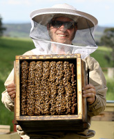 Natural Beekeeping Australia Warré Beehives Tim Malfroy