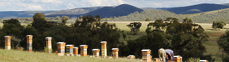 Natural Beekeeping Australia Warré Beehives Products