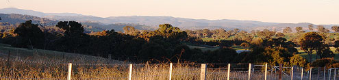 Natural Beekeeping Australia Central West